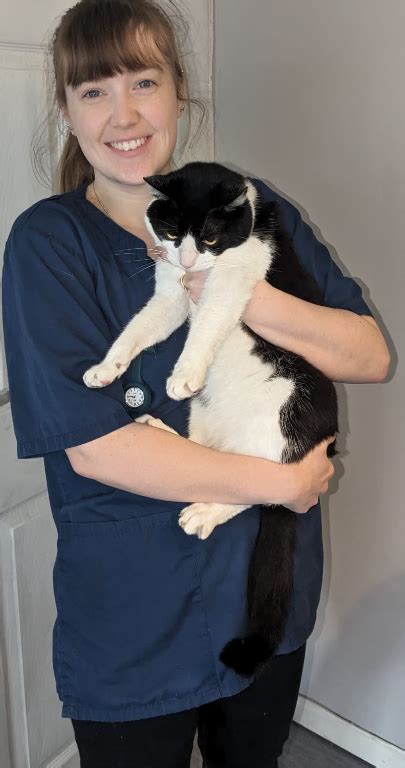 Vets4Pets Caerphilly .